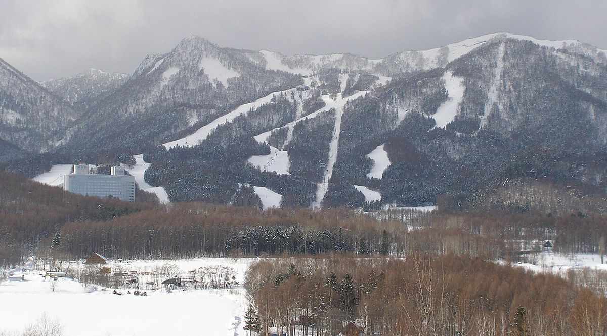 陰天從遠處看富良野滑雪場:深色的山坡上切出好幾條白色雪道,左下方山腳的樹林間立著一棟白色高樓,前景是積雪的平地與褐色落葉林
