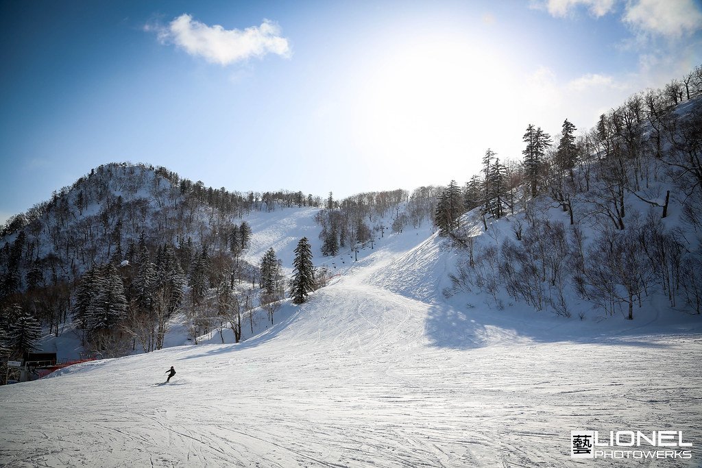 晴天逆光下的富良野滑雪場雪道:壓過雪的寬闊緩坡往上延伸進兩座覆雪小山之間,左下方有一位滑雪者,兩側是掛著雪的針葉樹與落葉樹