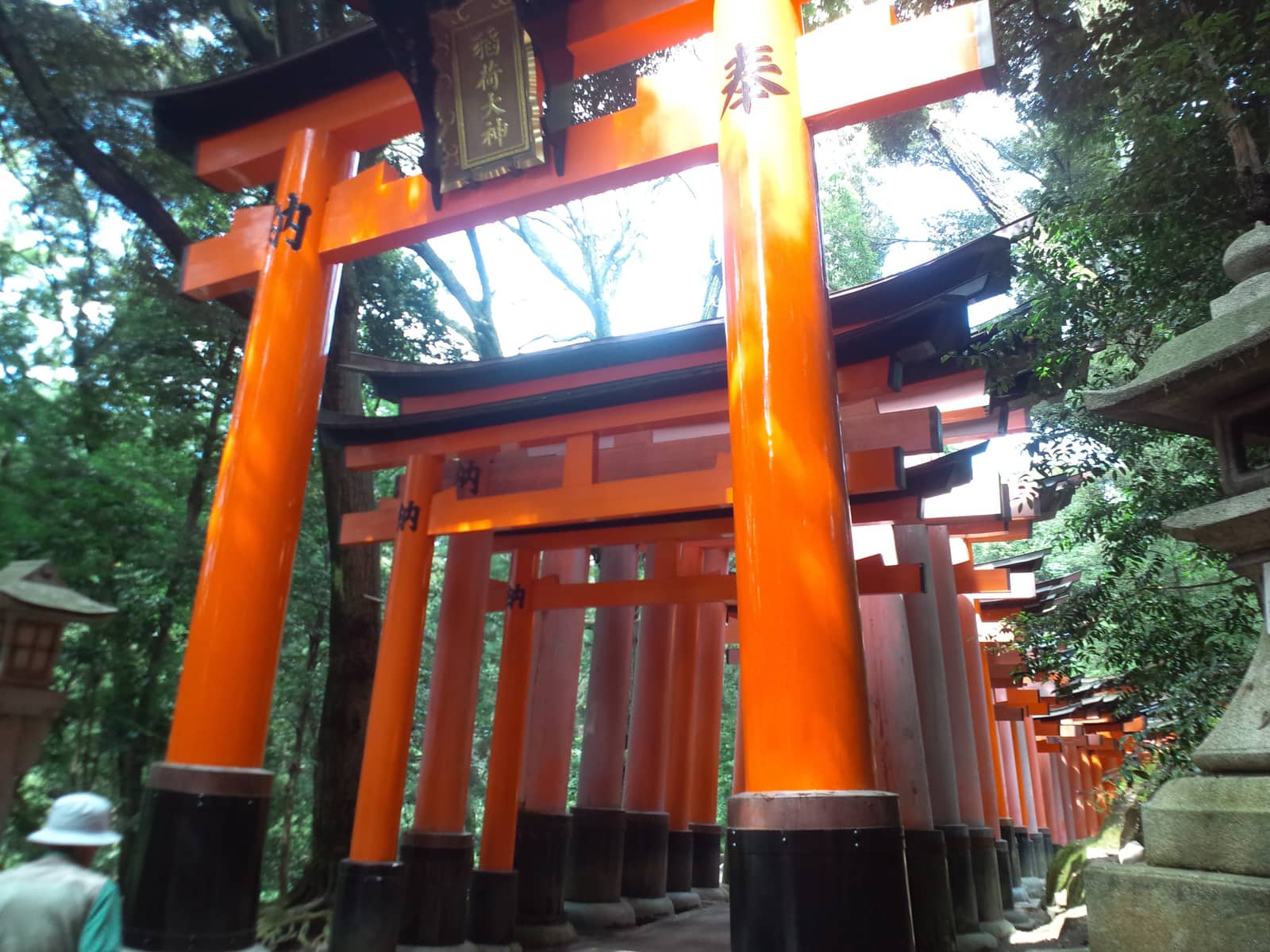 京都伏見稻荷大社千本鳥居，朱紅鳥居連成隧道