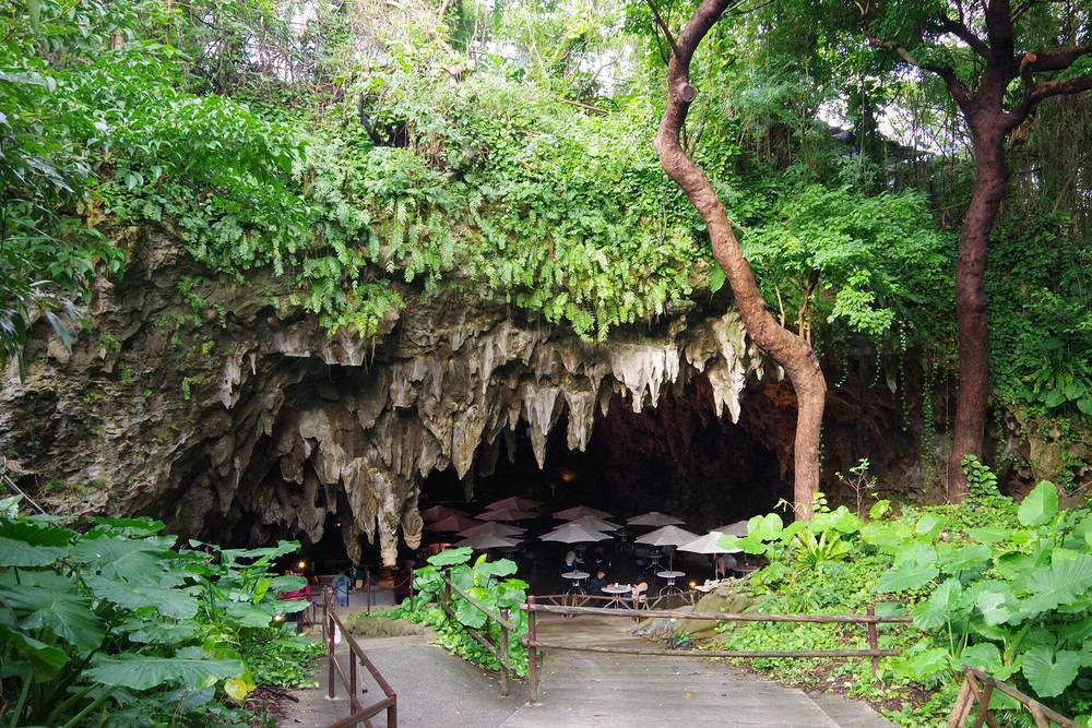 ガンガラーの谷的洞窟咖啡 CAVE CAFE：岩壁上方長滿蕨類，洞口垂著一排鐘乳石，洞裡擺著白色桌椅與遮陽傘，前方有木欄杆的步道往下通到洞口