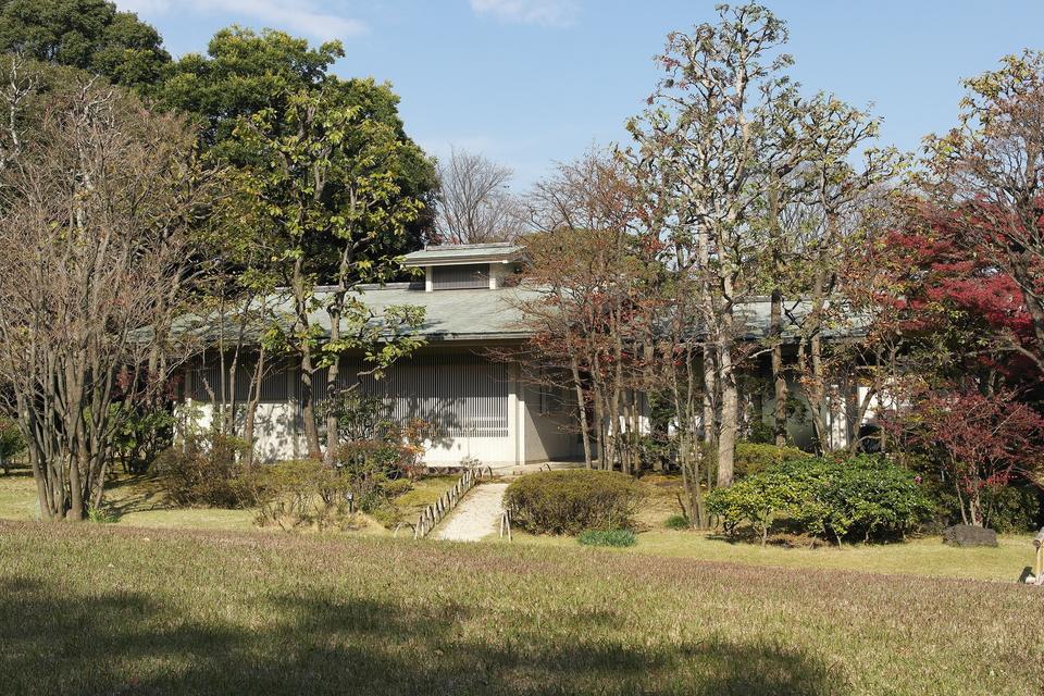 游心亭的茶室外觀:被高大的樹木和紅葉圍住的一棟白牆小屋,正面是直條木格,屋頂上多一層小小的頂窗,前面一條碎石小徑穿過草坪通到門口