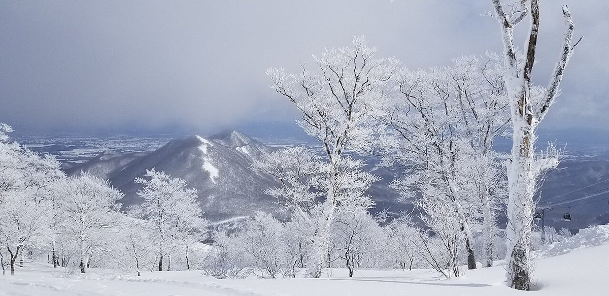 夏油高原山頂附近的樹林區:前景是沒有壓雪痕跡的厚粉雪,四周的落葉樹枝幹全被霜雪包成白色,遠方是一座帶雪的山和雲層下的平原,右側邊緣看得到纜線與一台纜車車廂