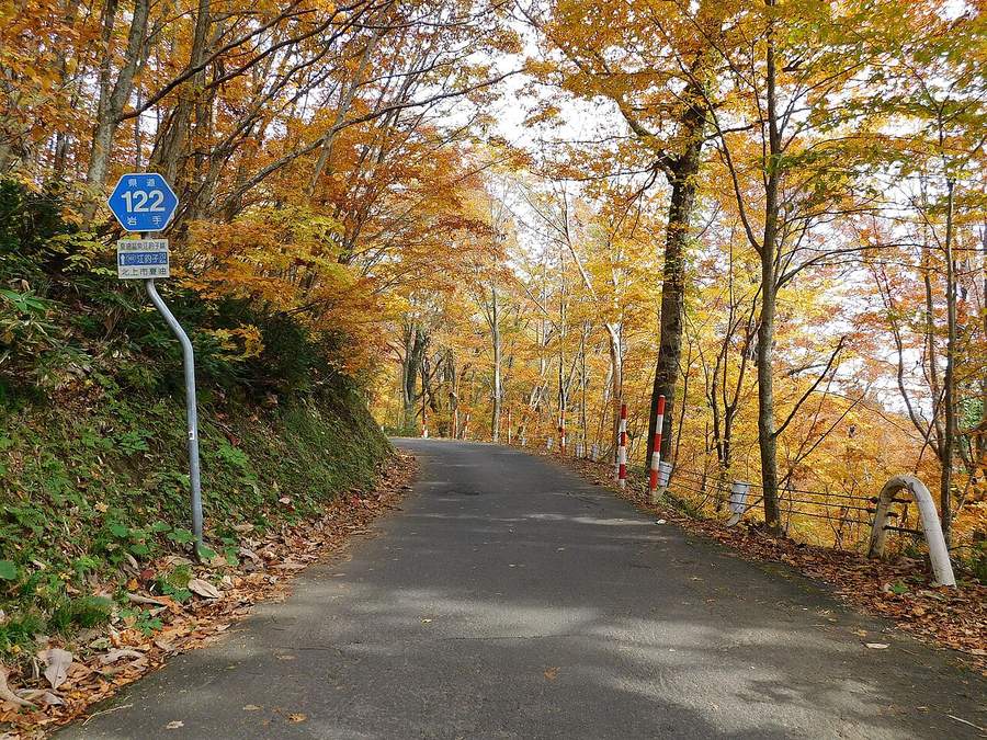 秋天滿是黃葉的山間單線柏油路,路面有落葉,右側是紅白相間的路標桿和護欄,左側立著藍色六角形的「県道 122 岩手」路牌,下方小牌寫「夏油温泉江釣子線」「北上市夏油」
