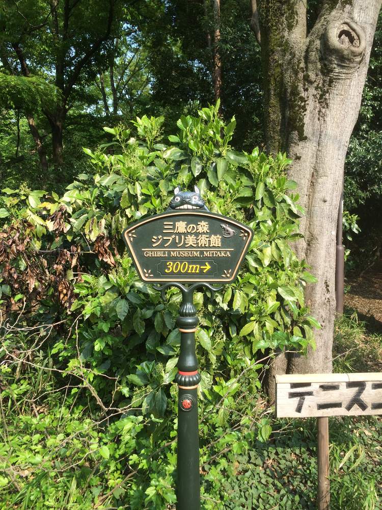 A dark green cast-iron signpost standing among trees, with a grinning grey Totoro figure seated on top; the fan-shaped plate carries gold vertical Japanese lettering reading 三鷹の森ジブリ美術館, a smaller line of English below it reading GHIBLI MUSEUM, MITAKA, and beneath that a yellow 300m with an arrow; a small animal relief sits in the upper right corner of the plate, against dense green shrubs and a thick tree trunk, with a wooden sign in Japanese at lower right
