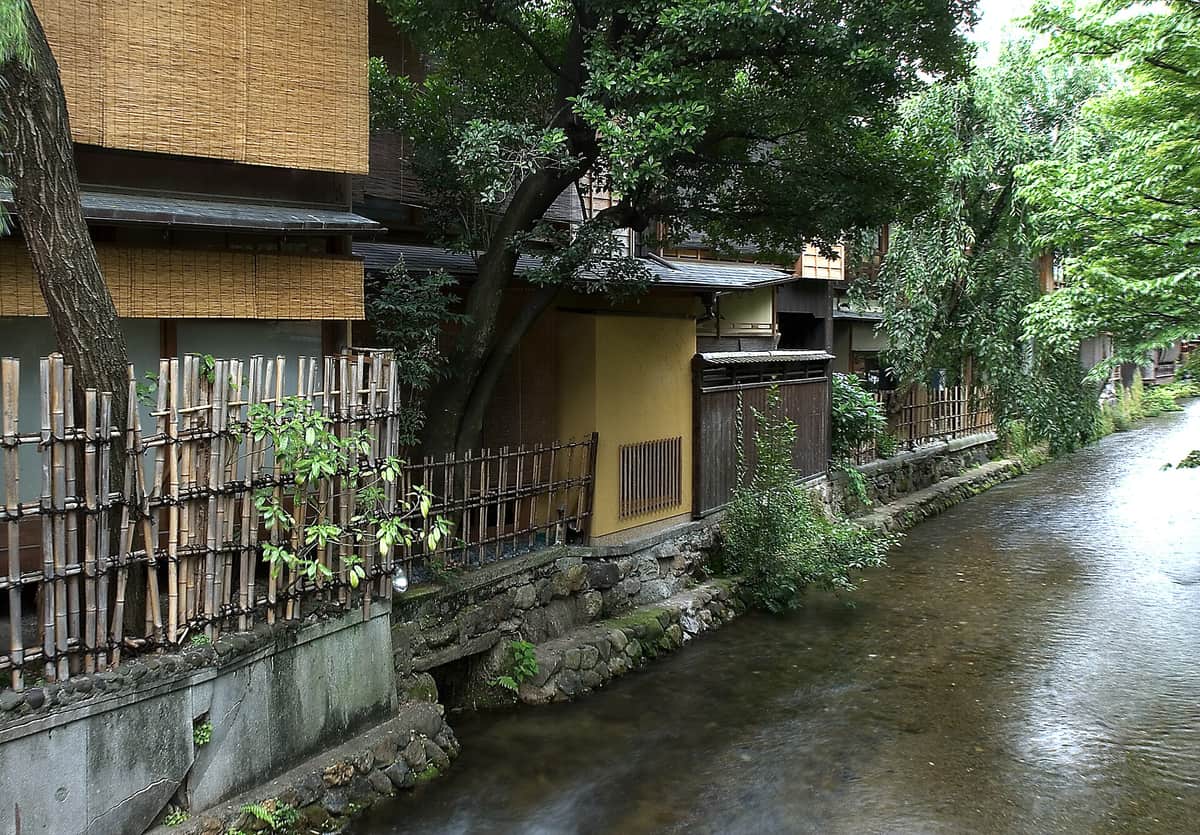 The Shirakawa canal in Gion: shallow water running along a stone revetment towards the lower right, the rear elevations of teahouses on the left bank hung with reed blinds and edged with slanted bamboo fencing, an old tree leaning out from a corner of a building, willow fronds hanging in at the top right, and nobody in the frame.