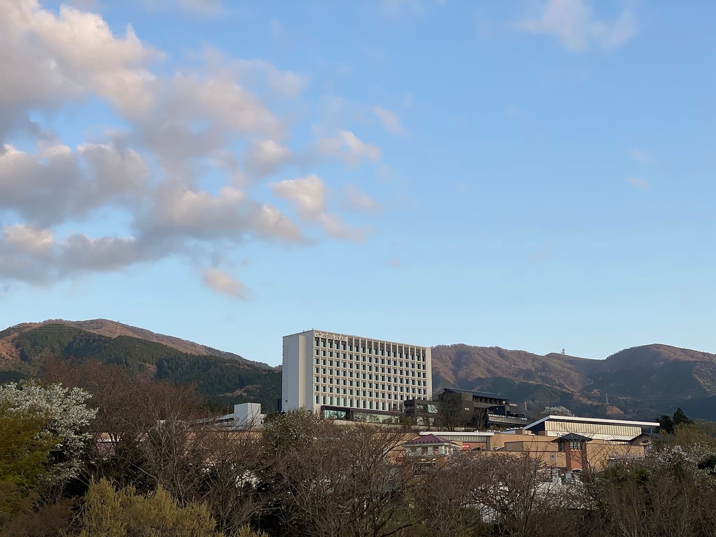Gotemba Premium Outlets seen from a hillside outside the site: the grid-facade HOTEL CLAD tower in the centre, a dark low-rise block to its right, rows of red-roofed and white retail buildings below, white blossom and bare branches in the foreground