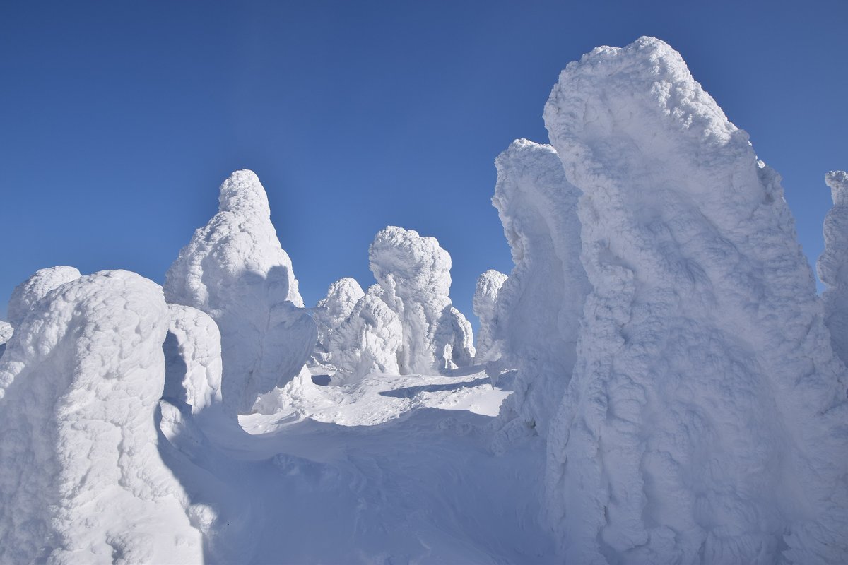 2 月 11 日的八甲田樹冰近景:幾棵樹被冰雪包成比人高的白色塊狀,表面是一層層鱗片狀的冰,看不到枝葉,背後是深藍色晴空