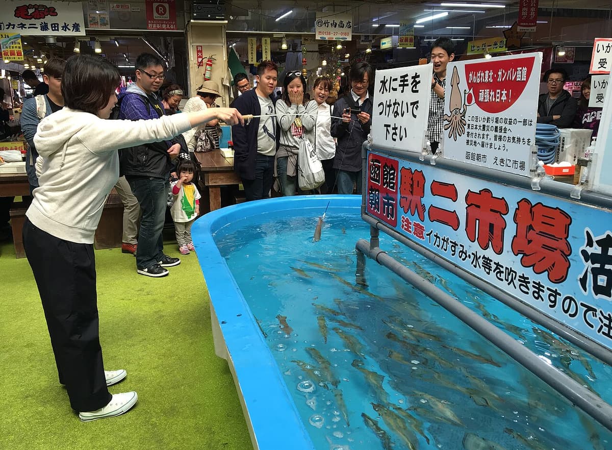 函館朝市的活魷魚現釣體驗