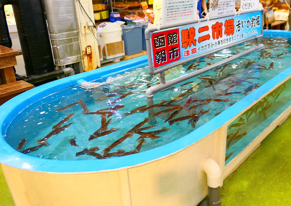 駅二市場的活烏賊釣堀：一個橢圓形的大水槽，藍色水槽邊、側面是透明壓克力，水裡游著幾十隻褐紅色的烏賊，水槽中間架著看板，紅底白字「函館朝市」旁邊是大字「駅二市場 活いか釣堀」，下方小字提醒烏賊會噴墨和水
