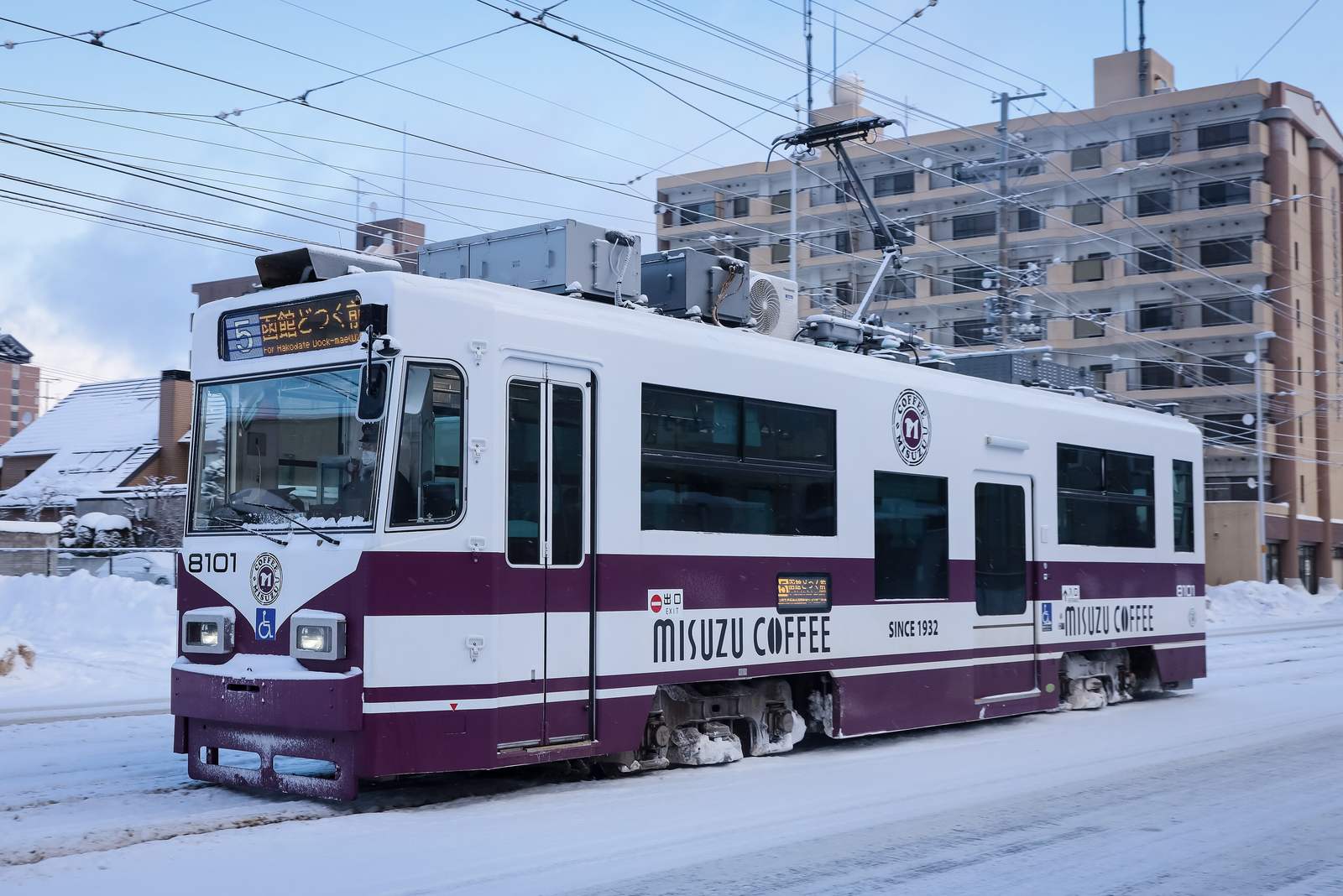 積雪路面上一台白底紫紅色塗裝的函館市電 8101 號，車身印著 MISUZU COFFEE 的廣告，車頭上方的行先顯示寫著「5 函館どつく前」與英文 For Hakodate Dock-mae，背景是覆雪的屋頂與一棟米色公寓，天色陰藍
