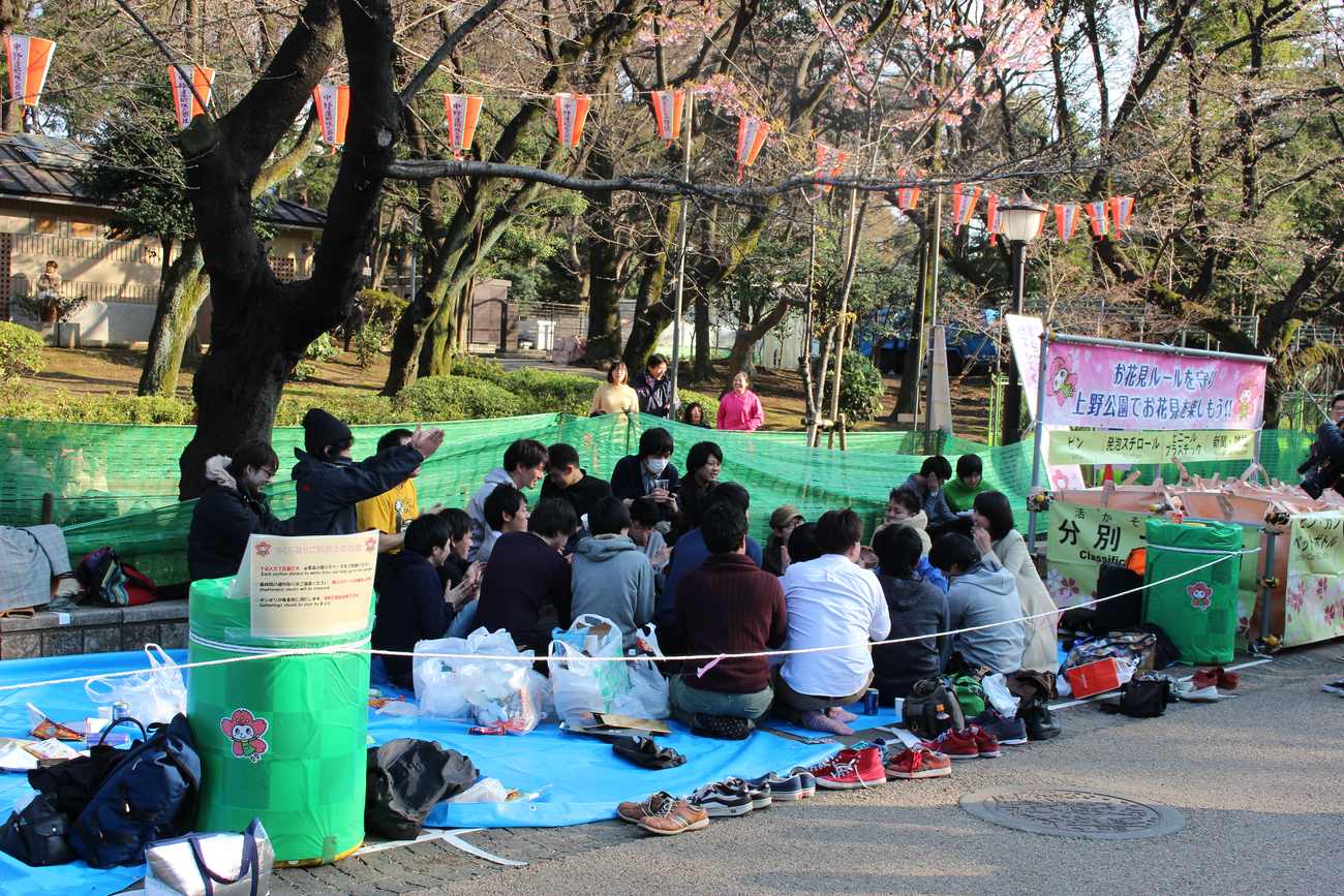 A large group sitting on a blue tarpaulin in Ueno Park, shoes lined up at its edge, beside a pink banner asking visitors to follow hanami rules and colour-coded recycling bins
