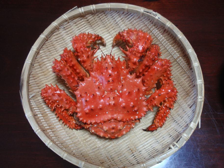 A whole boiled hanasaki crab turned bright scarlet, its shell and legs covered in short hard spines