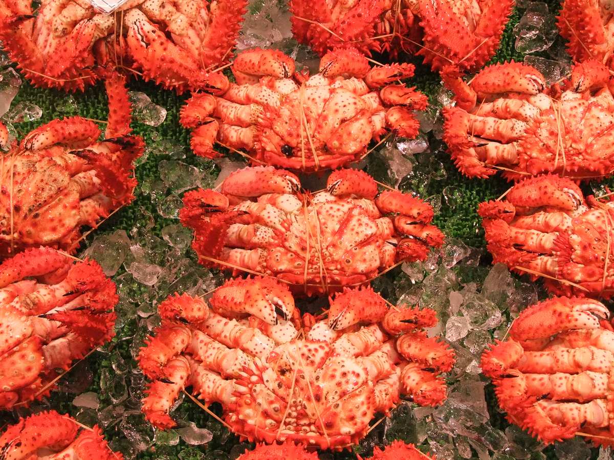 Rows of boiled hanasaki crab laid out on crushed ice at a seafood stall