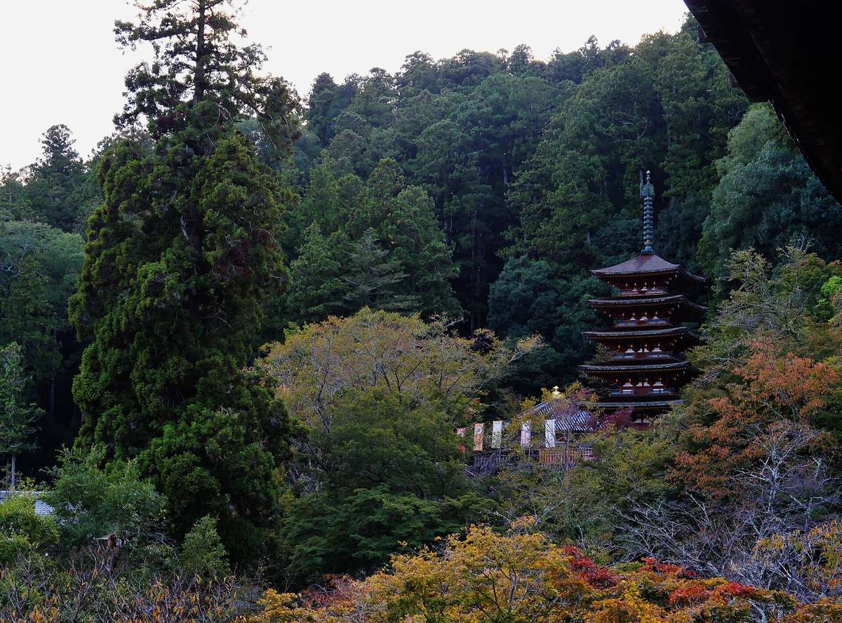 從長谷寺本堂懸造舞台望向林間的五重塔,右上角本堂屋簷入鏡