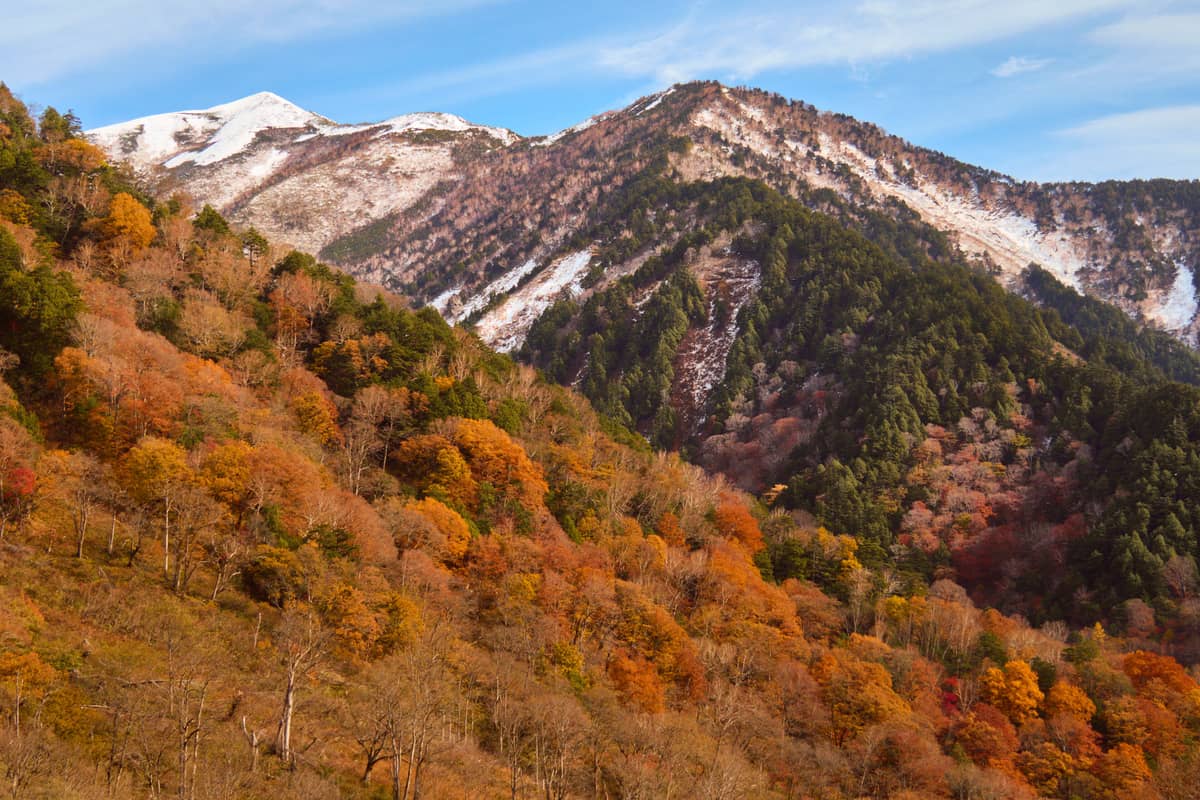 Autumn on the Tateyama Kurobe Alpine Route: snow already covering the ridgeline and summits while the slopes below are in full red and gold foliage