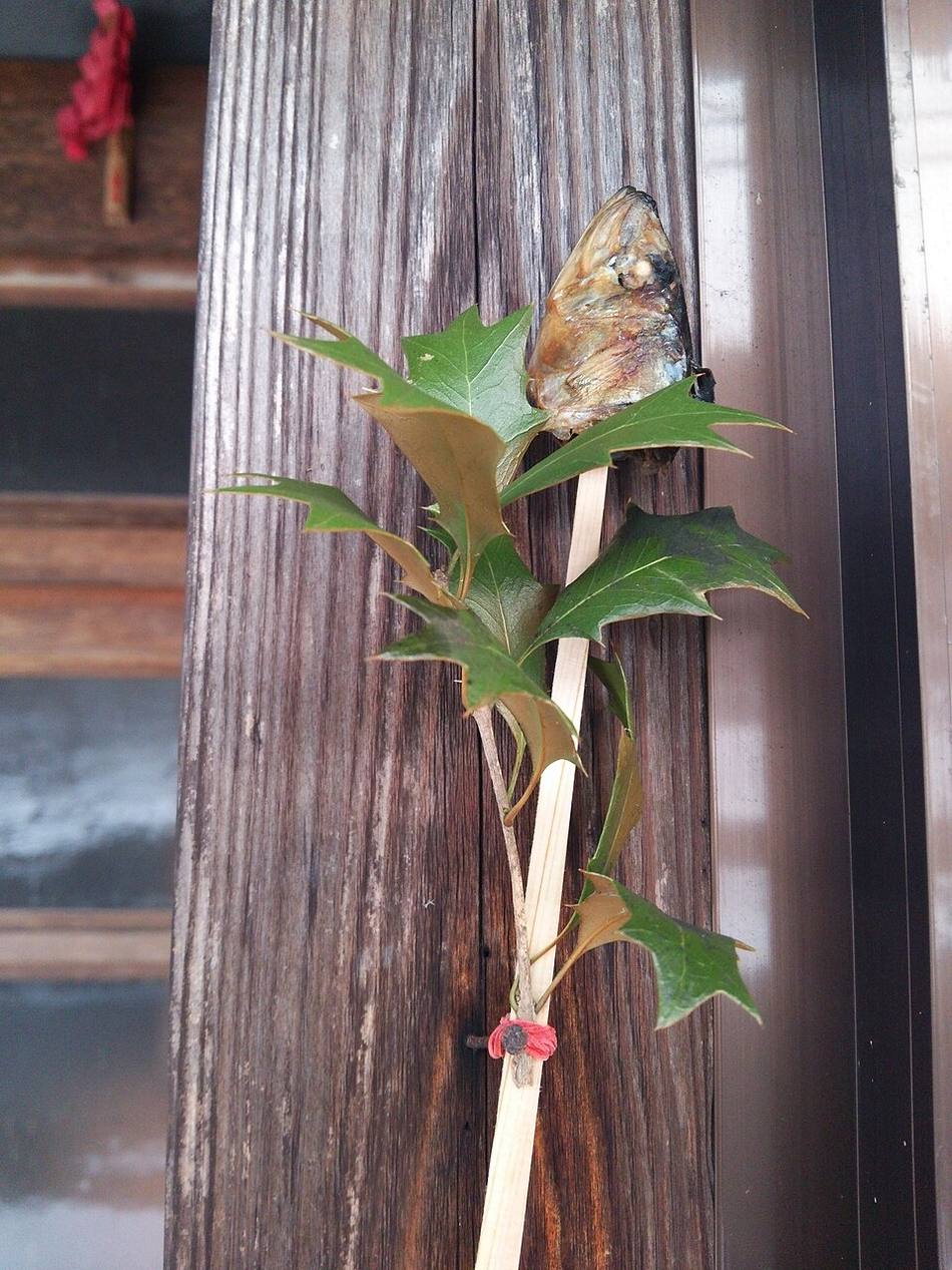 Hiiragi iwashi: a grilled sardine head skewered on a spiny holly sprig, tied with red cord to the wooden post of a house entrance