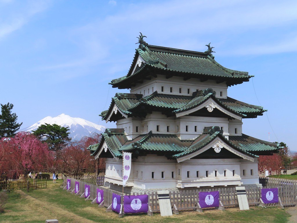 Hirosaki Castle keep standing on level grass with its white plaster wall meeting the ground directly and no stone rampart beneath, snow-capped Mount Iwaki behind to the left, a weeping cherry in full bloom, and a white picket fence hung with purple crested curtains in front