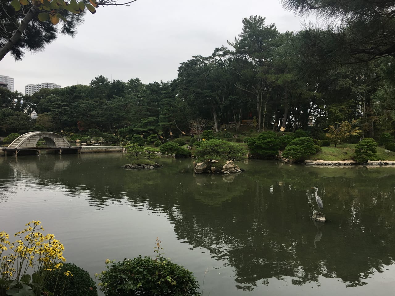 廣島縮景園的池泉與跨虹橋