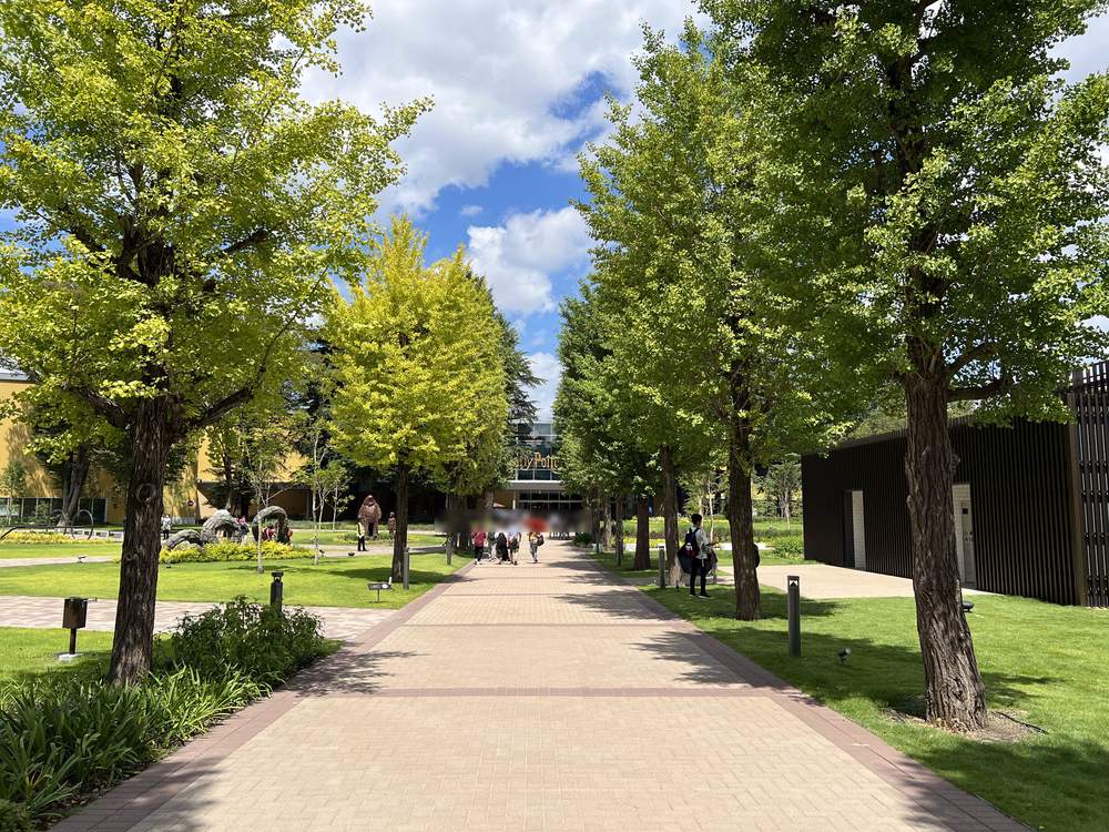 夏天通往東京哈利波特影城入口的磚鋪步道，兩側是成排綠色銀杏樹，左邊草地上立著幾座深色雕像，步道盡頭的玻璃建物掛著金色 Harry Potter 字樣，遠處有一小群遊客
