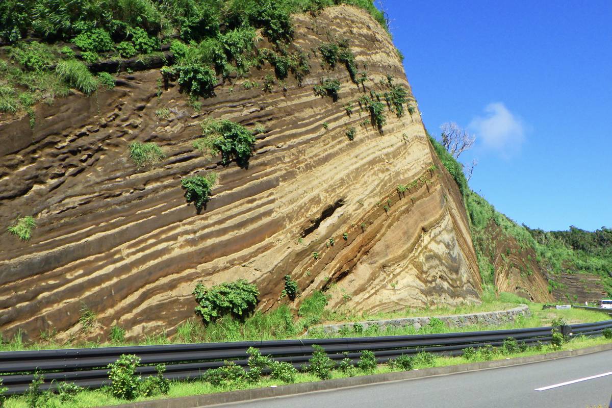 地層大切斷面：道路旁一整面高聳的斷崖，褐色與米黃色的火山灰層一條條交疊，像年輪一樣彎成波浪狀，崖頂長著綠色植物，下方是護欄與雙線道路