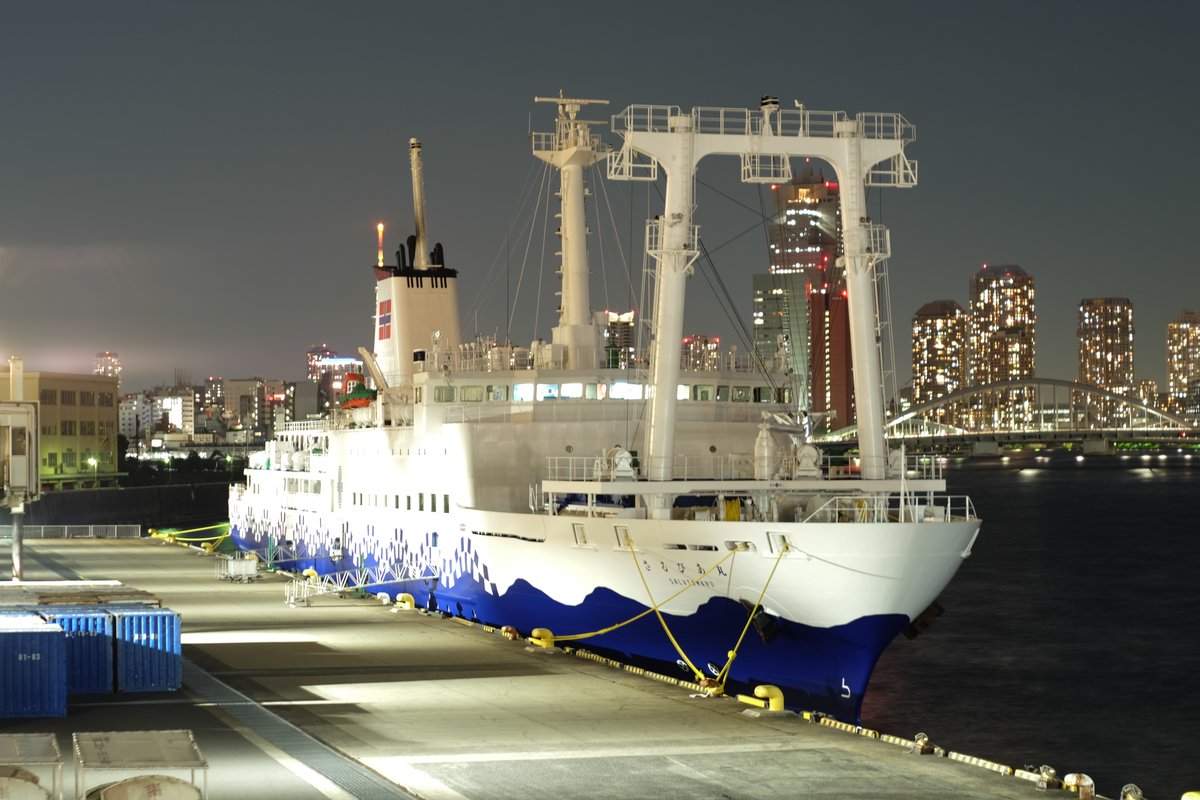 夜晚的竹芝棧橋，白色船身、船底漆著藍色波浪圖案的大型客船さるびあ丸靠在岸邊，船上有兩座白色門形吊架，背景是點著燈的高樓群