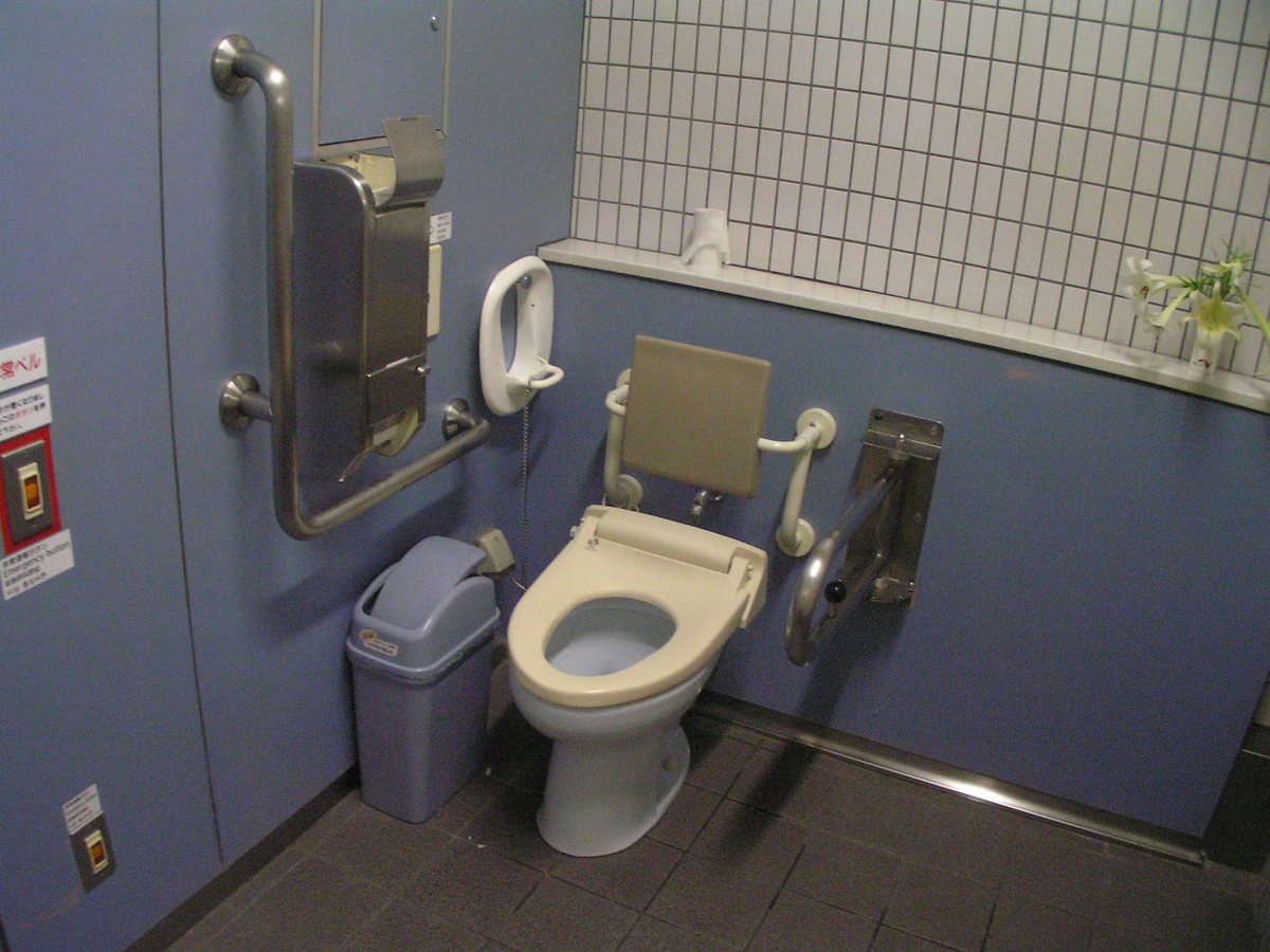 An accessible toilet cubicle in Japan with blue panelled walls: a fixed L-shaped stainless grab rail on the left, a hinged grab rail folded flat against the wall on the right, a backrest behind the pan, a white emergency pull cord hanging from the wall, and a red-framed emergency bell panel labelled 非常ベル / Emergency Button