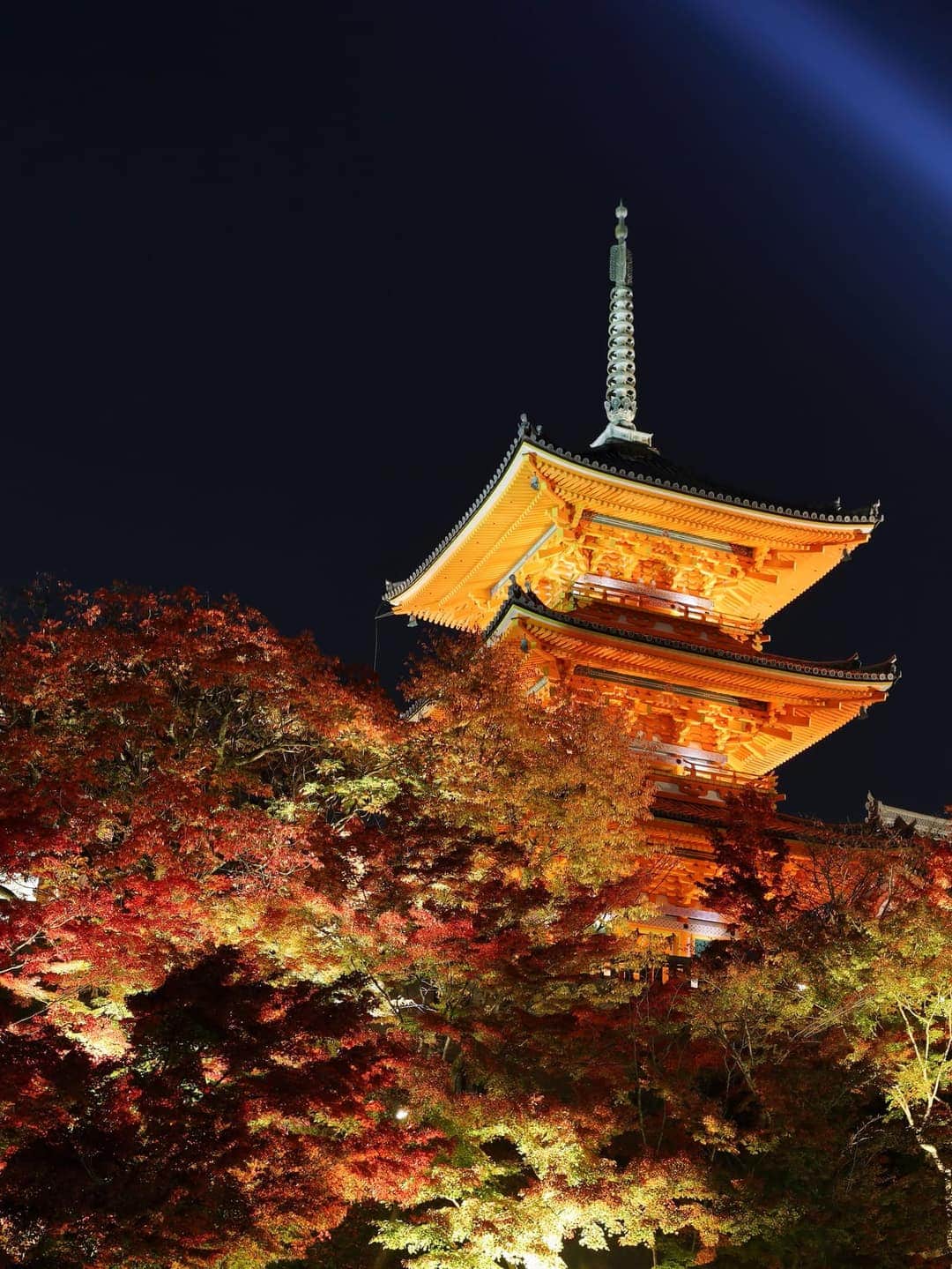 京都清水寺本堂與清水舞台，秋季紅葉環繞的木造建築