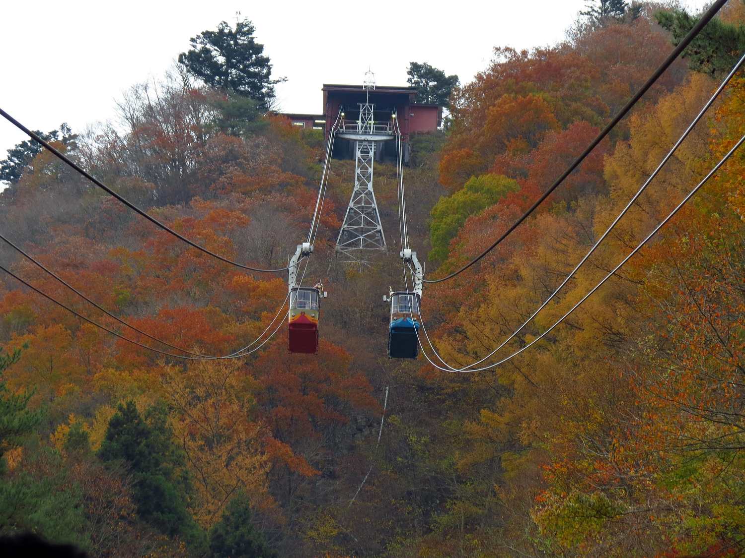 楓紅中的天上山纜車山頂站與交會的兩台車廂