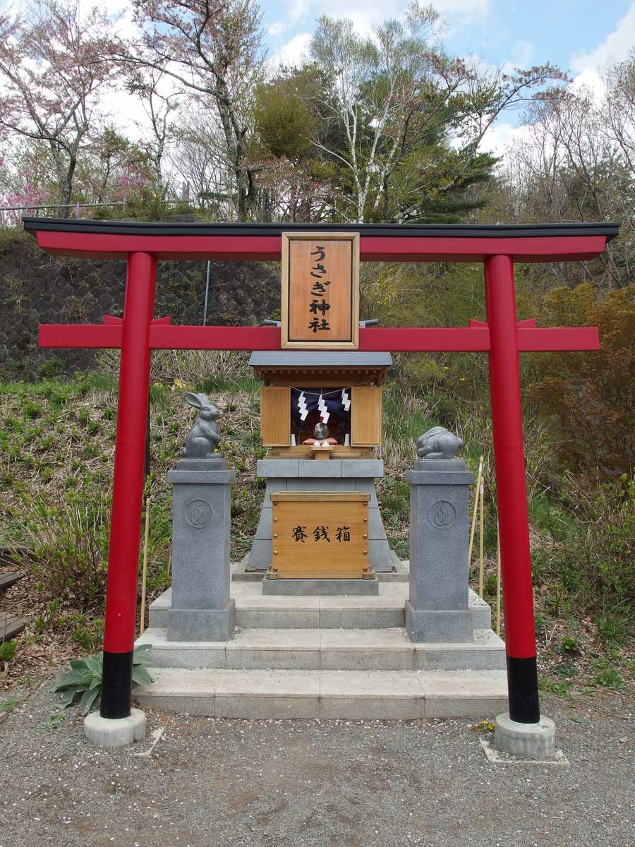 うさぎ神社的朱紅鳥居、賽錢箱與鳥居兩側的兩尊狛うさぎ石兔