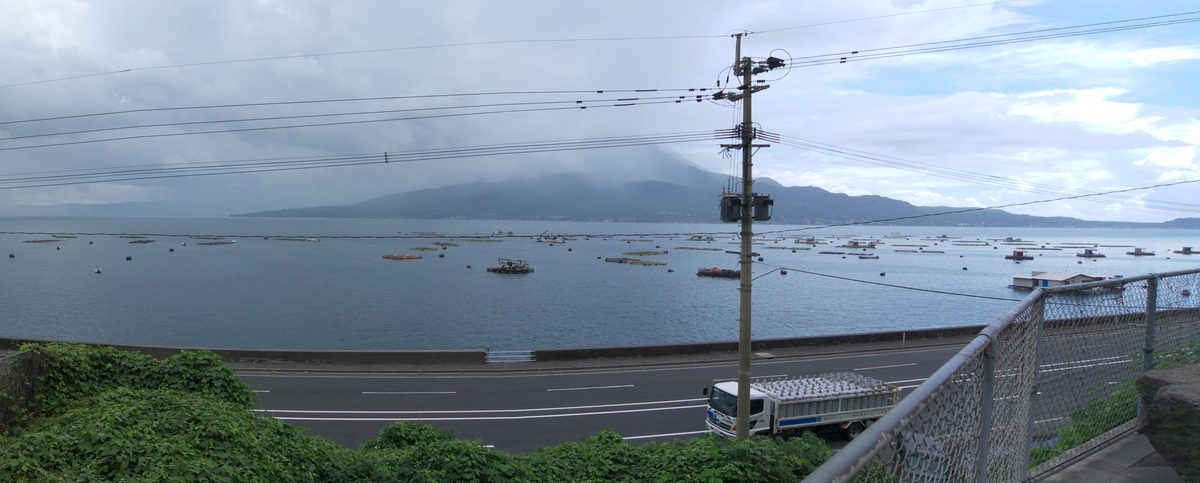 從竜ヶ水站月台往海側看,下方是沿著錦江灣的國道 10 號,海上一排排養殖浮筏,對岸的櫻島山頂被雲遮住