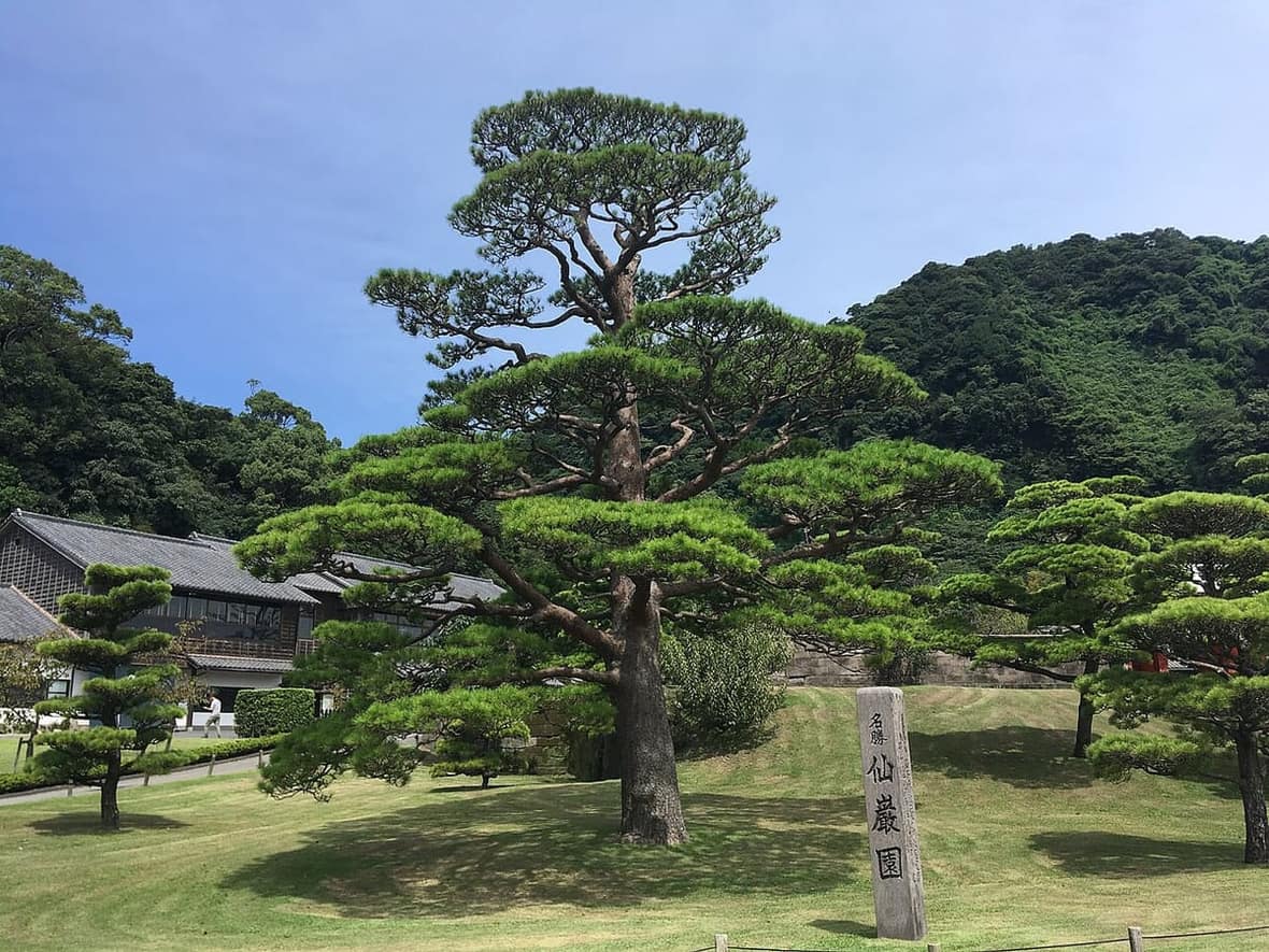仙巖園庭園以對岸的櫻島為借景