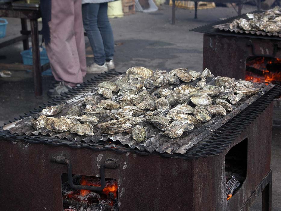 Two long rectangular steel charcoal grills outdoors, their corrugated tops covered edge to edge with unopened shell-on oysters; glowing charcoal is visible through the openings in the sides, and people stand on the gravel behind beside stacked blue plastic baskets