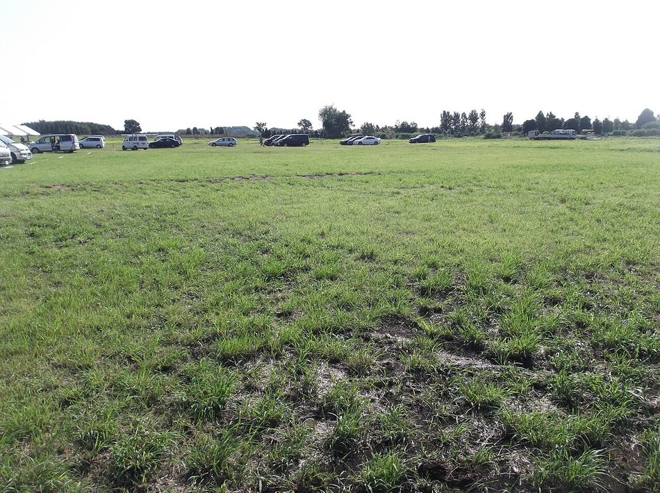 A wide flat expanse of rough grass on the former Kamiseya Communications Site, with a line of parked cars along the far edge, a low treeline on the horizon and a blank white sky