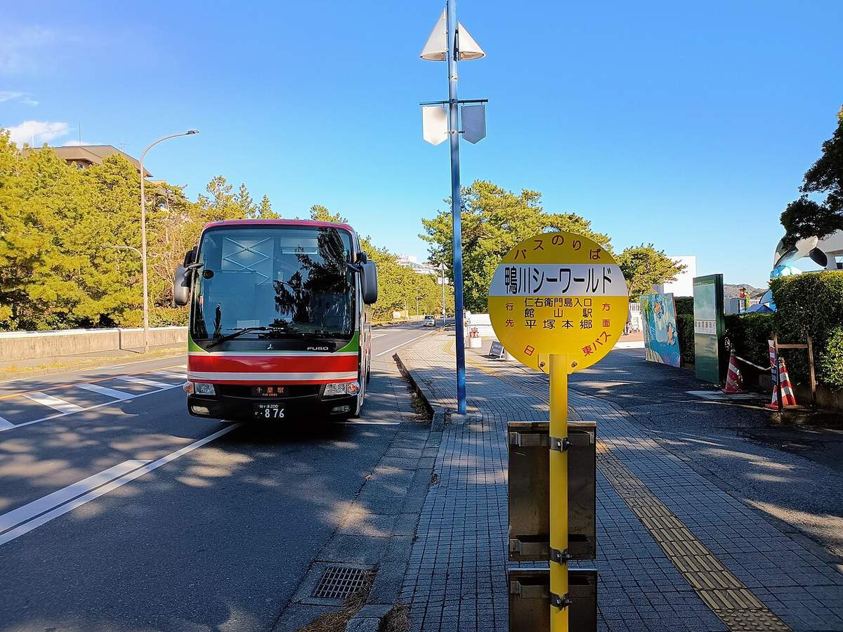 鴨川海洋世界前的路邊巴士站,黃色圓形站牌寫著「バスのりば 鴨川シーワールド」,旁邊停著一台紅綠白色的高速巴士,車頭方向幕顯示「千葉駅」,路旁是一排松樹