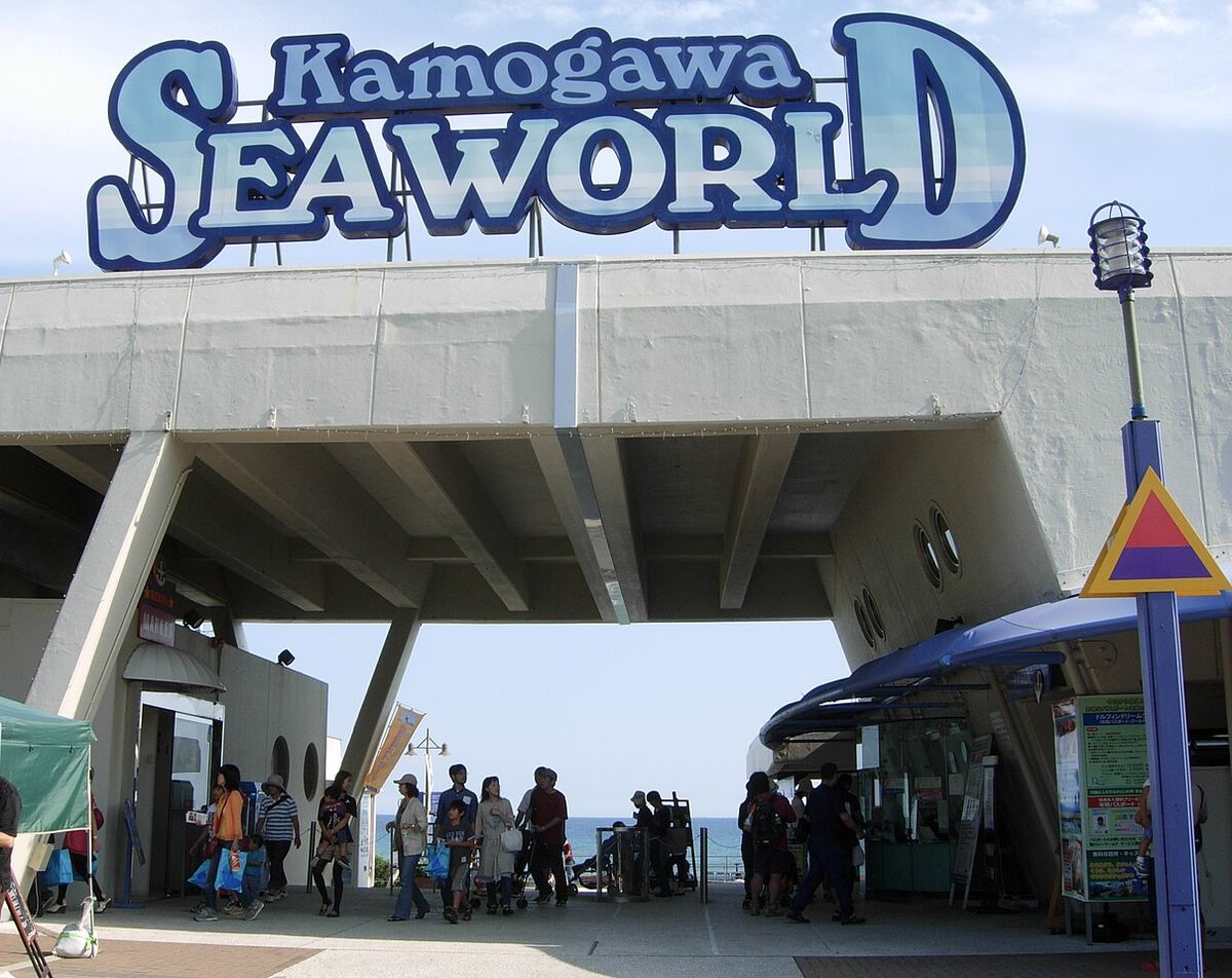 鴨川海洋世界入口,水泥門廊上方立著藍白色的 Kamogawa SEAWORLD 大招牌,門廊下遊客往裡走,盡頭看得到海,右側藍色雨棚下是一排窗口