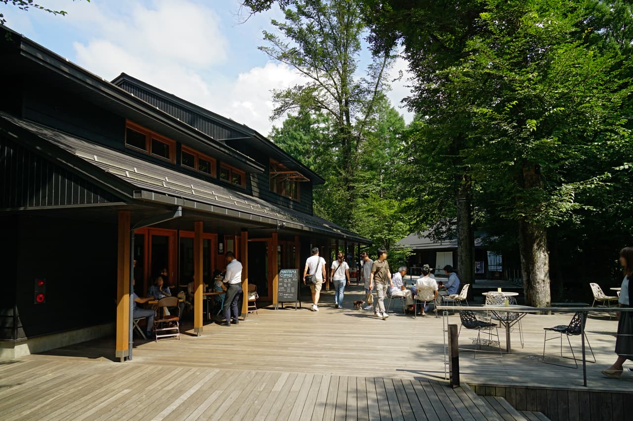 The wooden decks of Harunire Terrace winding through the forest beside a stream