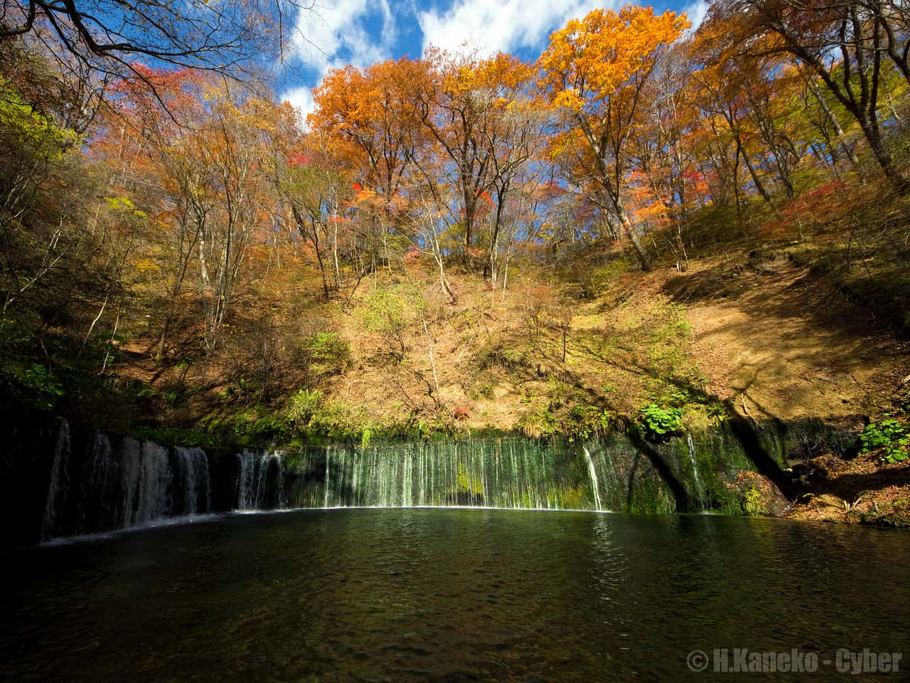 The thread-like flow of Shiraito Falls over a curved rock face with autumn leaves