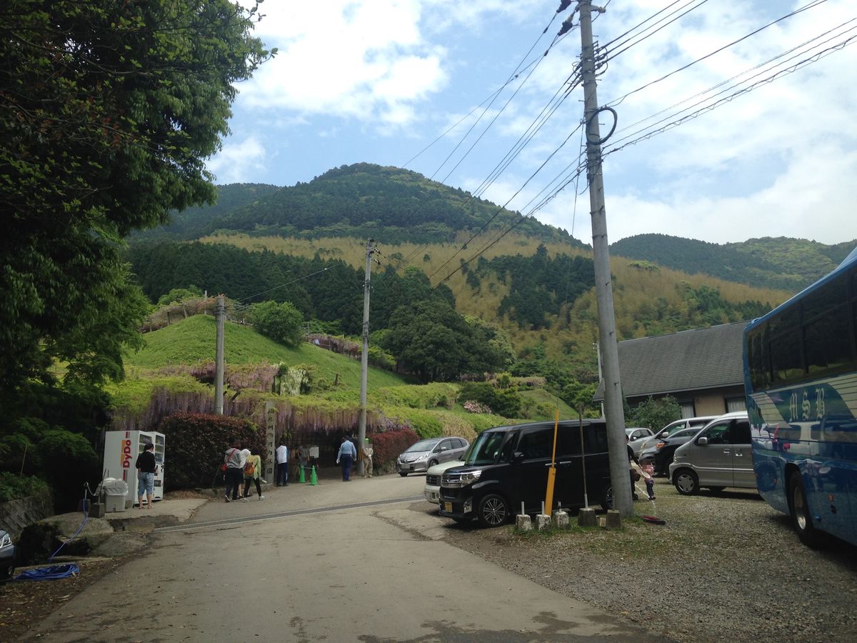 通往河內藤園入口的坡道：畫面中央是一條窄柏油路往上走，左側路邊放著一台自動販賣機，路的盡頭立著刻字的石柱，石柱後方的山坡上掛著一整排淡紫色藤花，右側停著轎車與一輛遊覽車，背景是連綿的綠色山丘