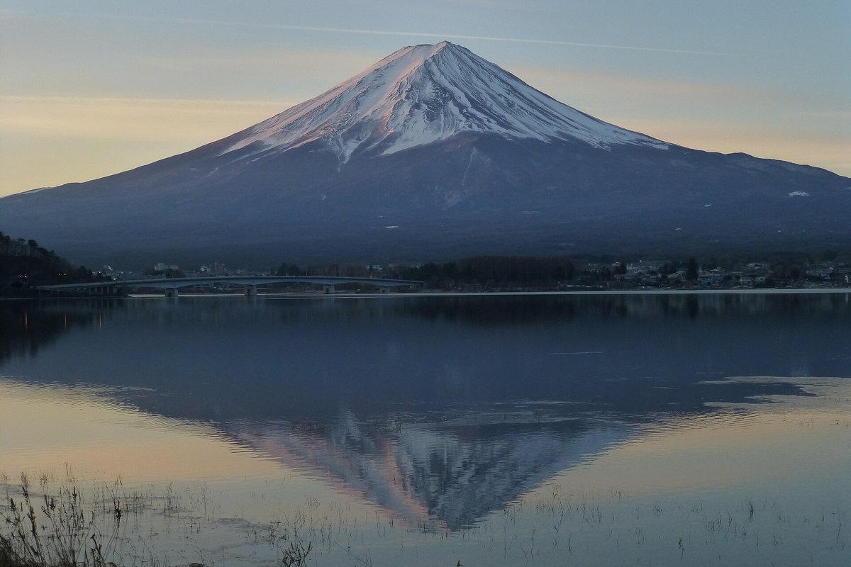 天色微亮時從河口湖北岸看富士山:積雪的山頂被染成淡粉紅色,整座山倒映在平靜的湖面上,山腳下橫著河口湖大橋
