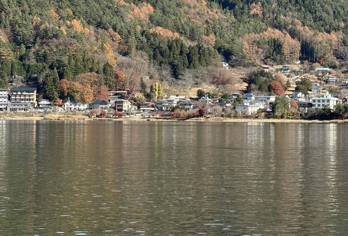從河口湖南岸隔著湖面看對岸:岸邊一排低矮的房子與旅館,後面是常綠樹與枯黃落葉松交錯的山坡