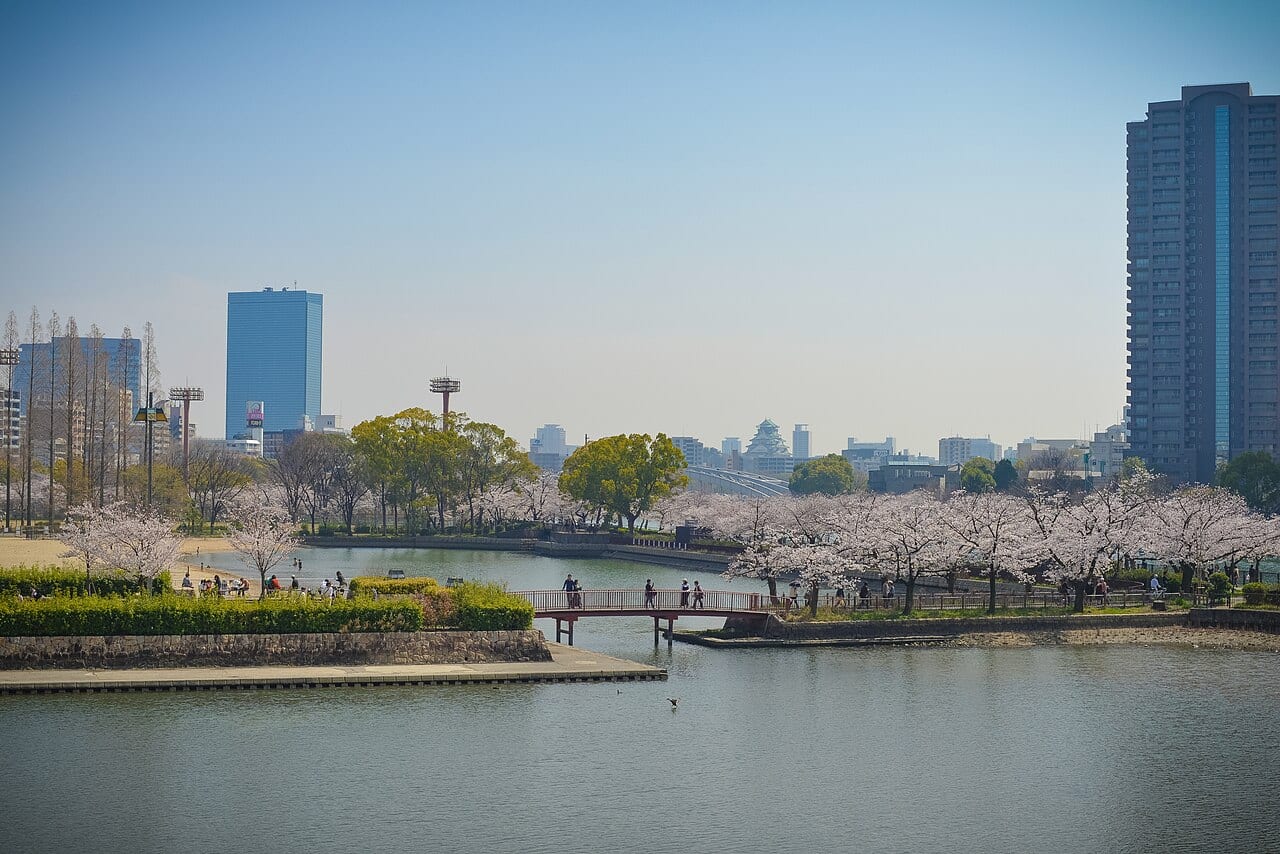 大阪大川(毛馬櫻之宮公園)沿岸的櫻花並木