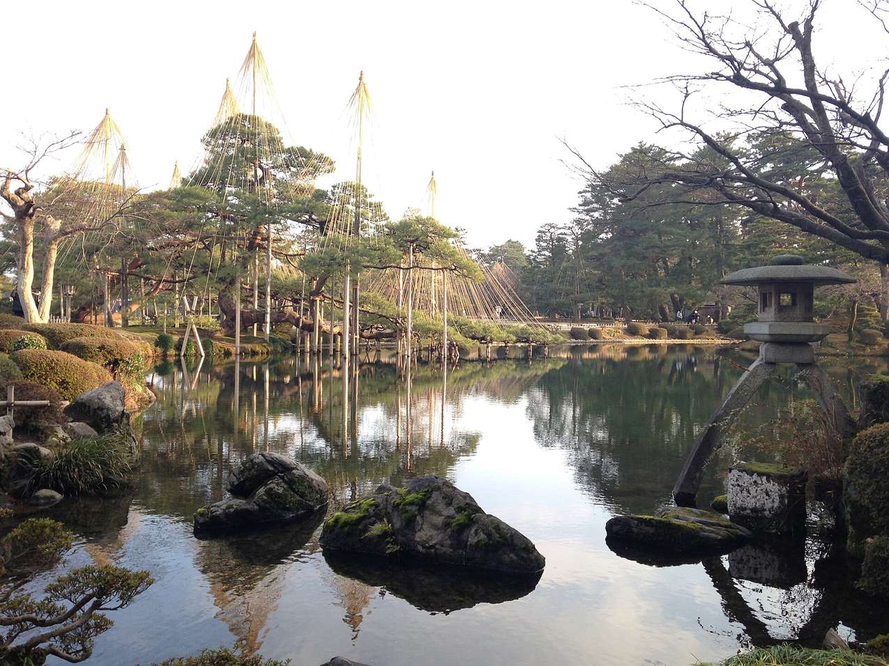 冬季白天的兼六園霞ヶ池：右側是兩隻腳不一樣長的徽軫燈籠站在水邊，左側岸上的松樹掛著傘狀的雪吊，池面平靜倒映著整片景，右上角的落葉樹還沒長葉