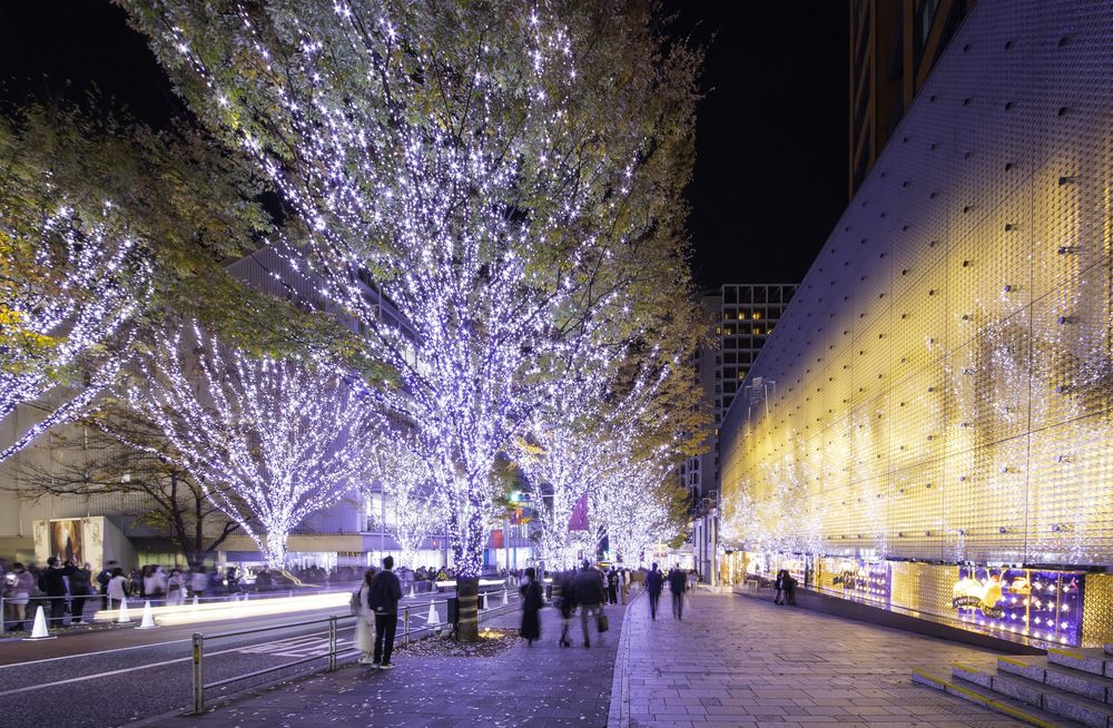 The wide Keyakizaka sidewalk: street trees wrapped in white lights on the left, a railing and white traffic cones between road and sidewalk, a gold-lit building facade on the right