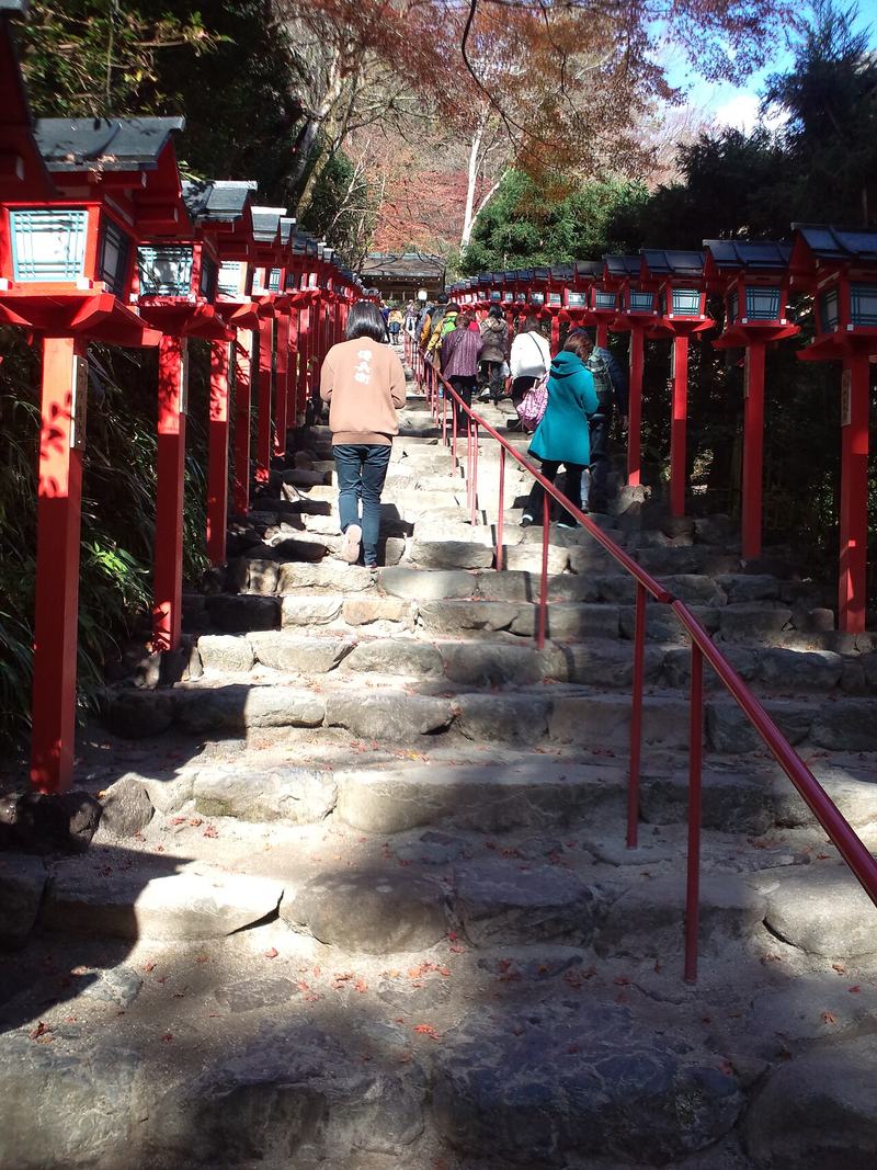 白天的貴船神社本宮表參道：石階兩側各一排紅色春日燈籠，中間一道紅色扶手，參拜者背對鏡頭往上走，階頂的門後方有轉紅的樹，石階上散著落葉