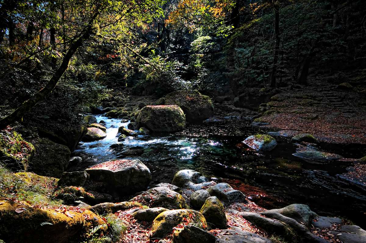 菊池溪谷溪畔岩石鋪滿紅褐落葉，深潭映著光，右側可見石階步道