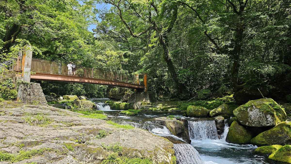 菊池溪谷夏季實景，翠綠林蔭下溪流沿岩壁流下，是熊本盛夏的天然避暑地（示意）