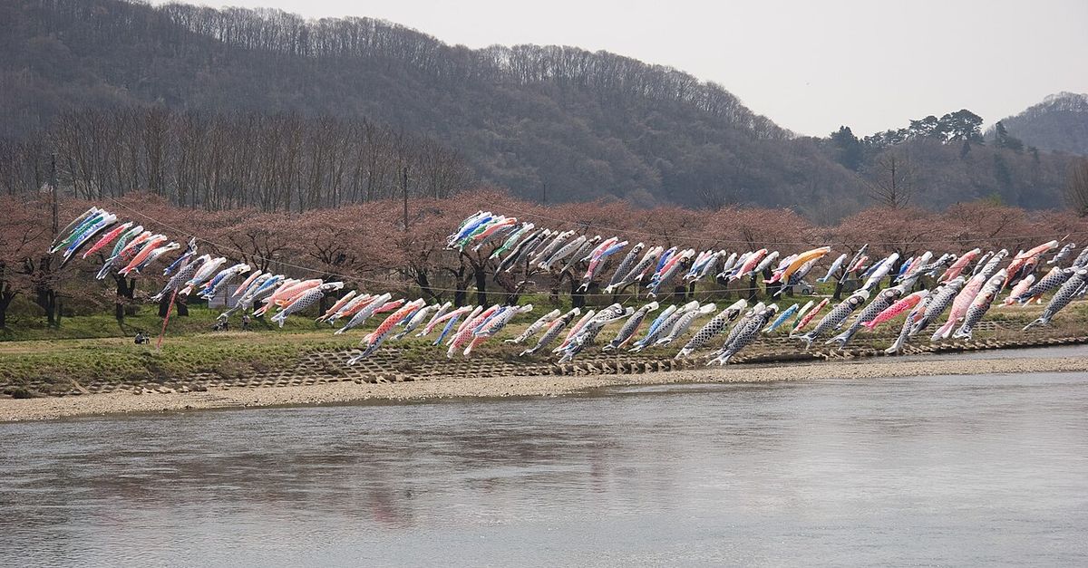 北上川上空橫掛著幾長串鯉魚旗，被風吹得斜飄，後方河岸是一整排花苞轉紅的櫻花並木，再後面是還沒長葉的山坡，岸邊有幾個很小的人影
