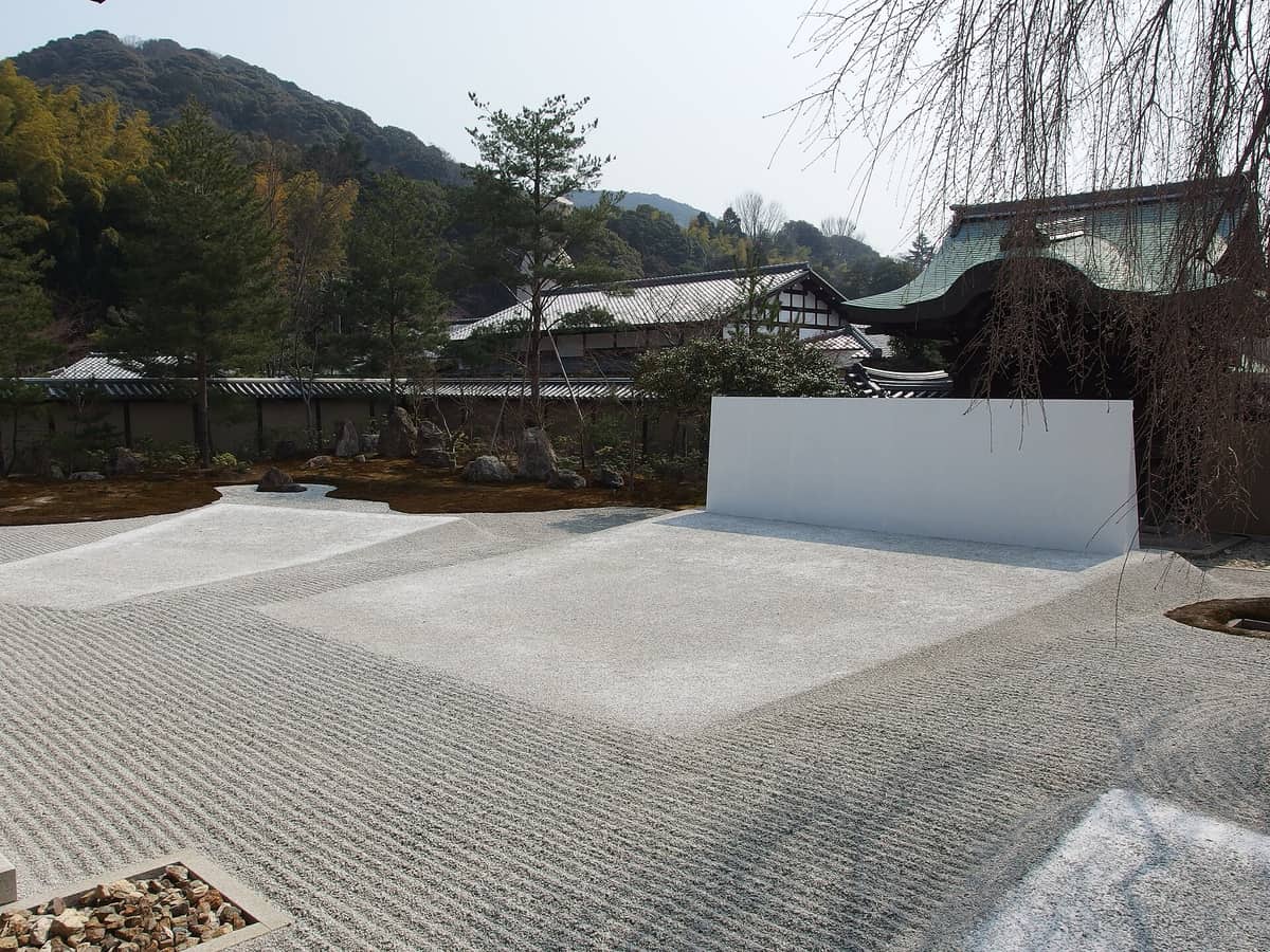 The dry landscape garden in front of Kodaiji's abbot's hall: white gravel raked into parallel ripples, a plain white wall across the middle, a weeping cherry at top right carrying nothing but bare hanging twigs, temple roofs and the Higashiyama hillside behind, bright midday light and not a single visitor