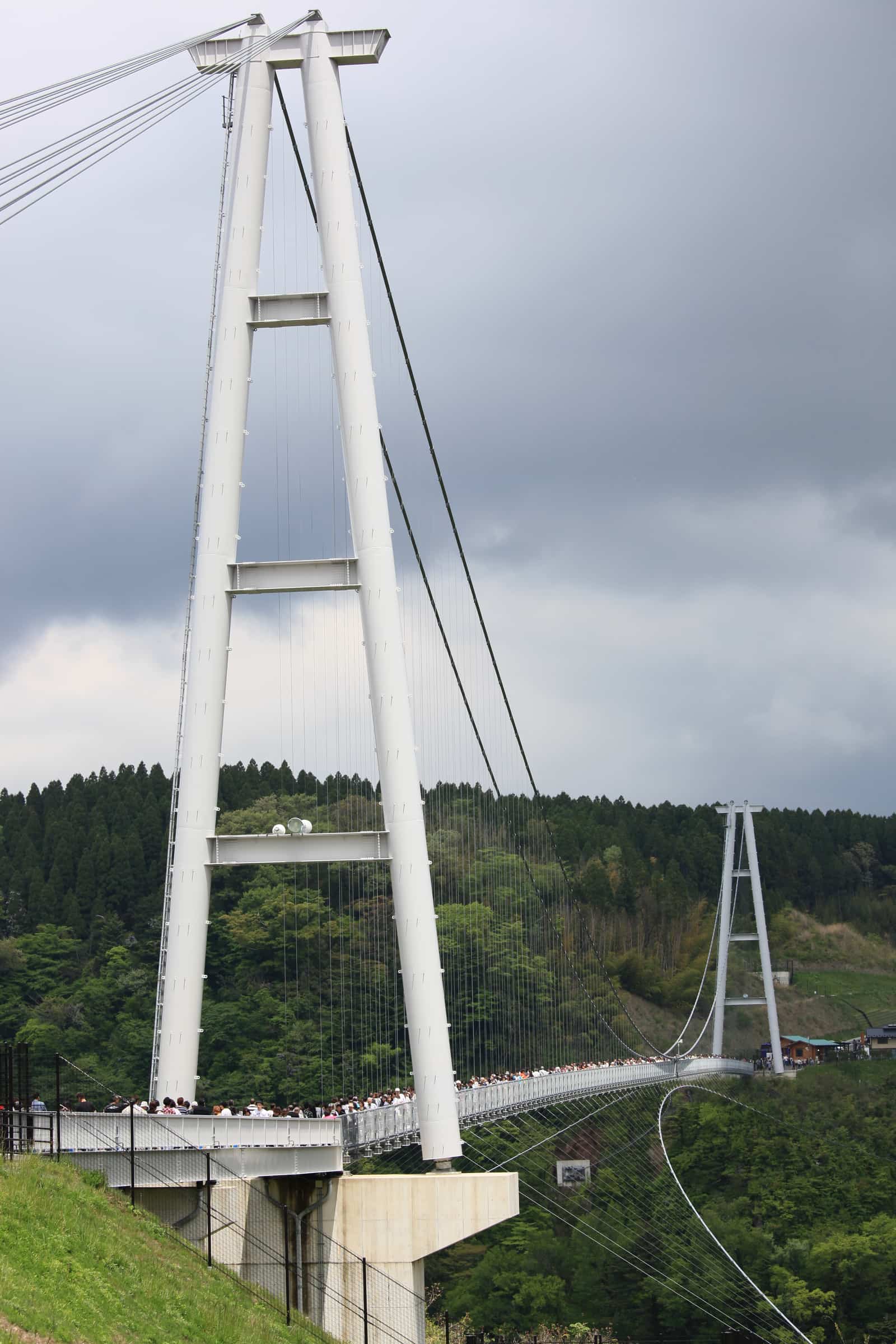 Side view of the Kokonoe Yume Bridge, the deck and cables spanning the Naruko River gorge