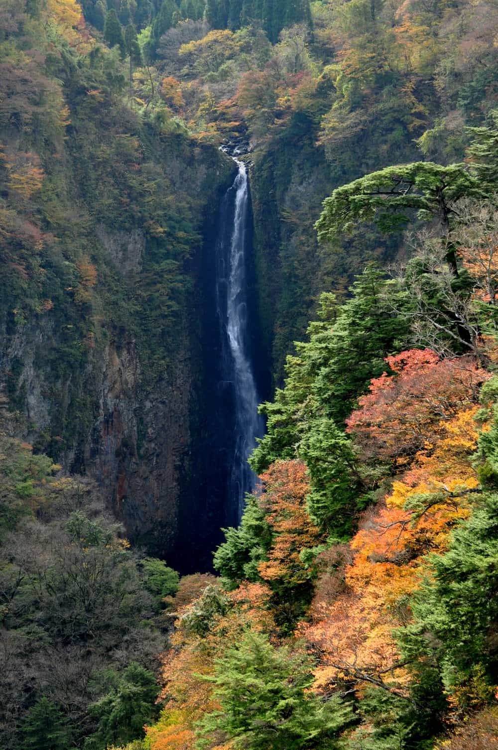 Shindo Falls, a white cascade dropping down a steep rock face into the Naruko River gorge